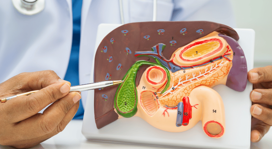 Pankreas Kitlelerinde EUS Yöntemi ile Tanı ve Biyopsi